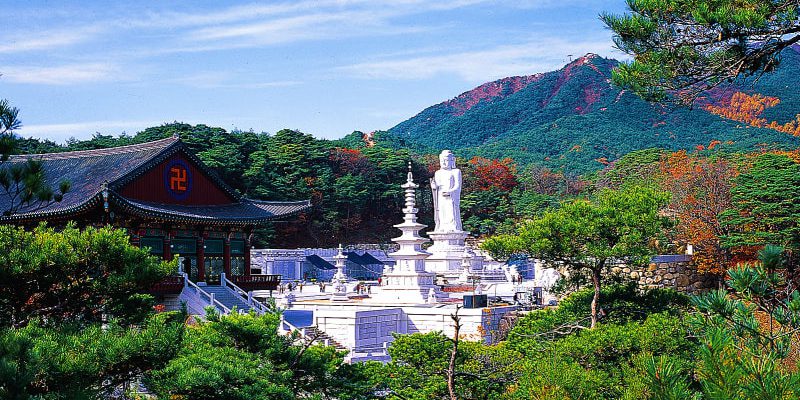 Quang cảnh thanh bình tại đền Donghwasa