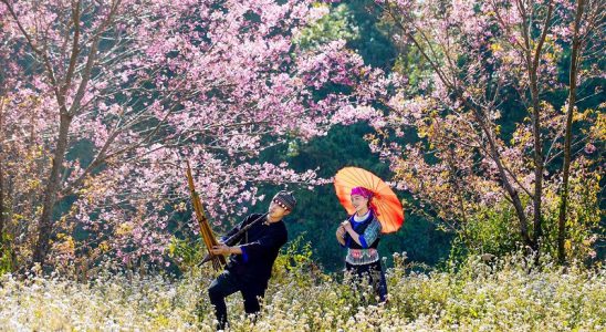 Khám phá vẻ đẹp mùa xuân ở Cao Bằng