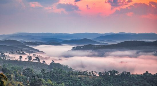 Săn mây buổi sáng tại Măng Đen